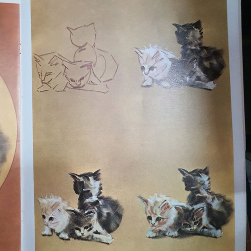How to Draw Cats and Kittens book used
