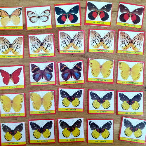 CAROUSEL BUTTERFLIES