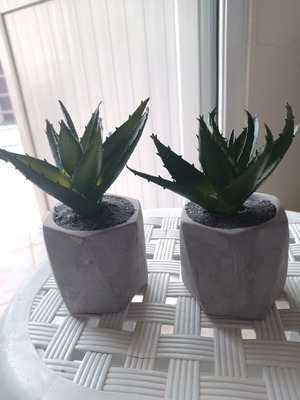 Artificial plant pot set used, very good condition