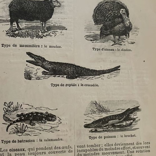 French dictionary used of natural history vintage 1840