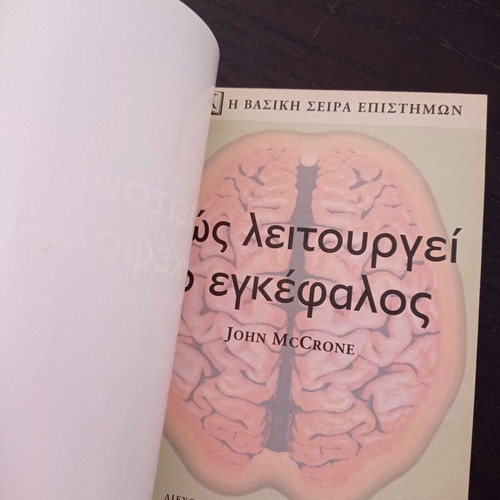 How the Brain Works DK like new