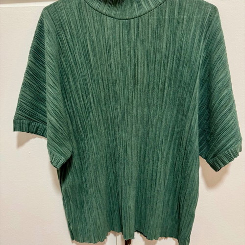 Zara blouse cypress elastic fabric Large like new