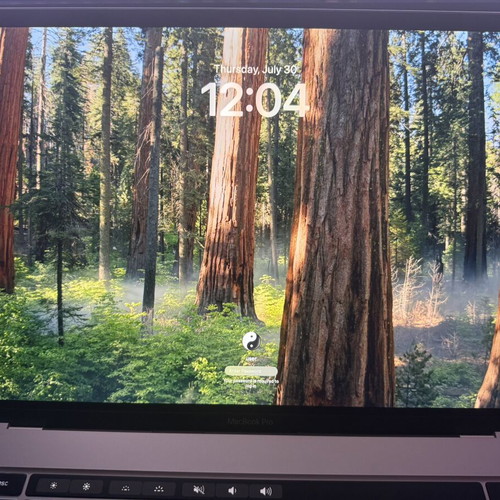 Apple MacBook Pro 16" 2019 A2141 i9 32GB 1TB SSD Touch Bar used