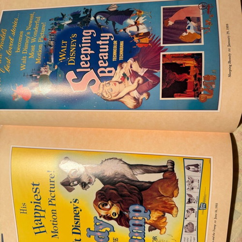 Disney Poster Book volume like new, posters from Disney movies