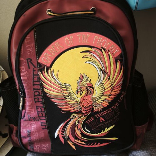 School bag like new with free pencil case