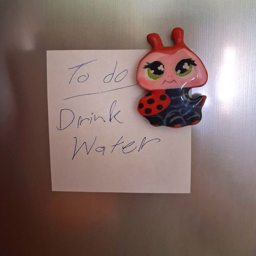 Littlest Pet Shop Handmade Magnets new, unique collectible pieces