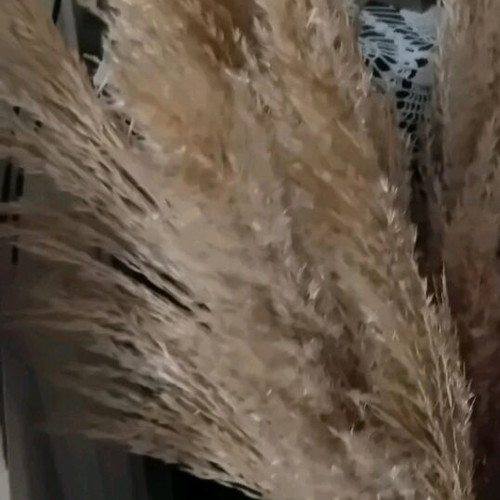 Bamboo branches bundle 1 meter like new