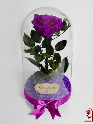 Purple Natural Eternal Rose in Large Glass Dome made to order