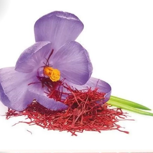 Krokos Kozanis Saffron Filaments 1gr Organic