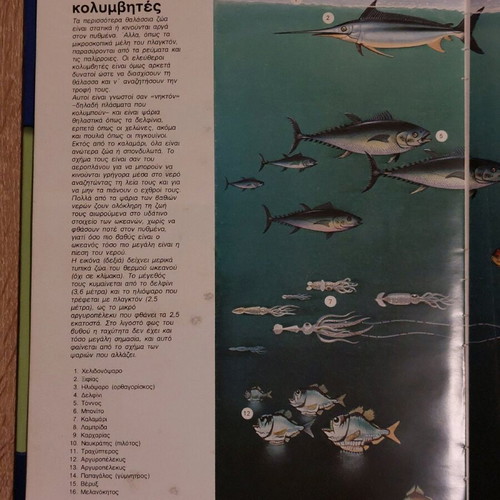 The World of Animals used, life in oceans and desert