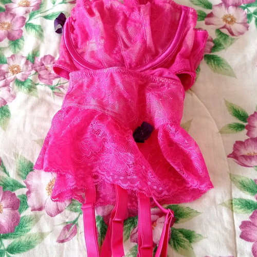 Victoria's Secret set XL fuchsia with full coverage bra 38D and garters