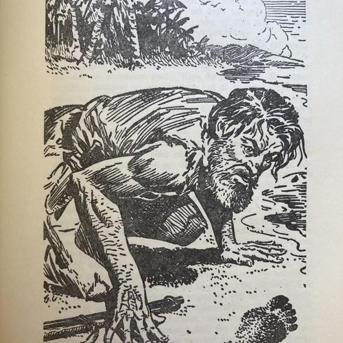 Robinson Crusoe by N. Defoe used, Greek children's book