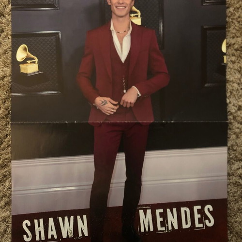 Shawn Mendes poster like new from U girl magazine