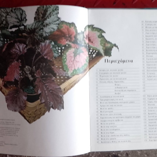 Decorative Indoor Plants Book like new