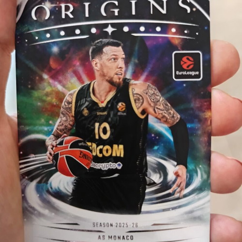 Panini basketball cards