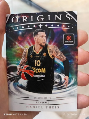Panini basketball cards