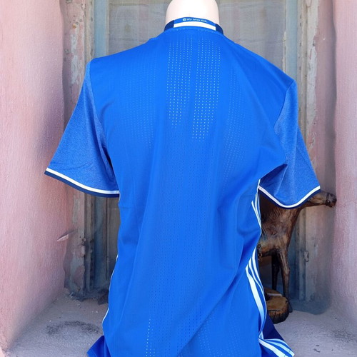 Schalke player issue jersey new, authentic