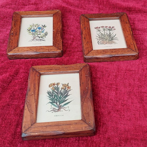Collection of 3 mini frames with wooden frame like new