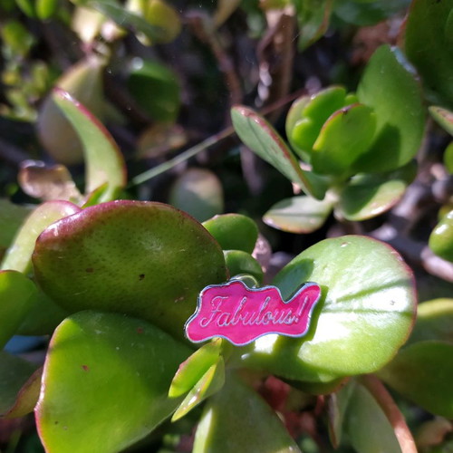 Pin brooch