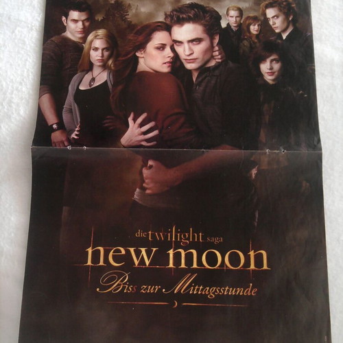 Twilight (New Moon) poster like new