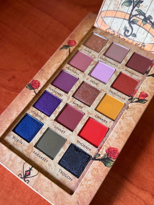 Cageling Limited Edition eyeshadow palette used