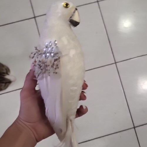 Decorative parrot new with sequins
