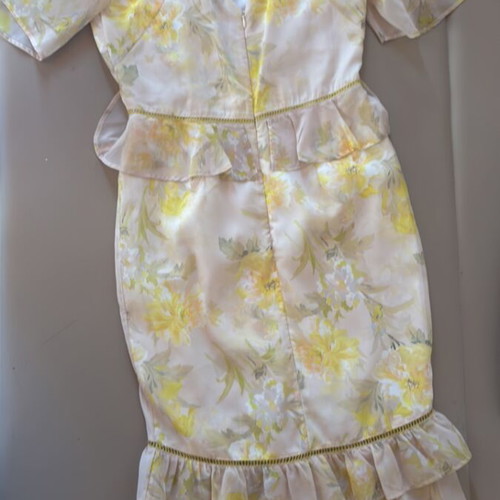 Hope&Ivy floral lemon dress, new evening wear