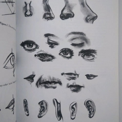 Book How To Draw What You See used