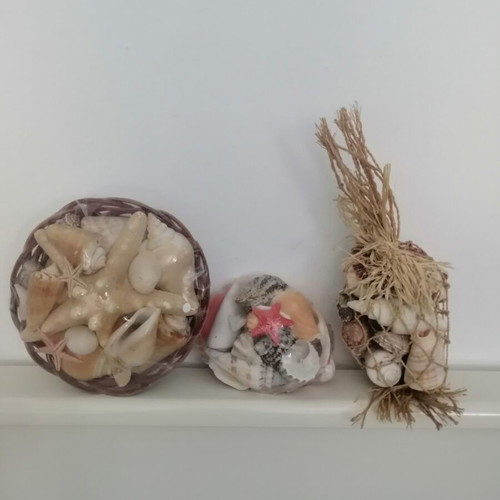 Decorative seashells set with bamboo basket and natural shells