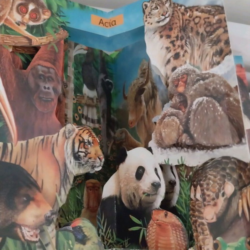 Animals book-carousel like new, Savvalas editions