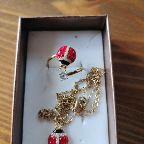 Ladybug jewelry set new, stainless steel ring and necklace