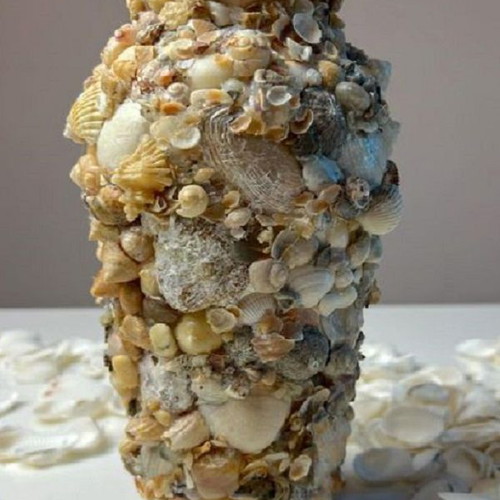 Barnacle shells pack of 38 new for crafts and decoration