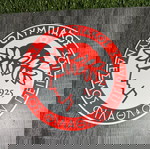  3D Printed Διακοσμητικό Λογότυπο Ολυμπιακού