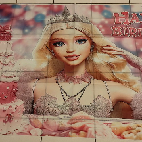 Barbie party decoration backdrop like new