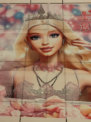 Barbie party decoration backdrop like new