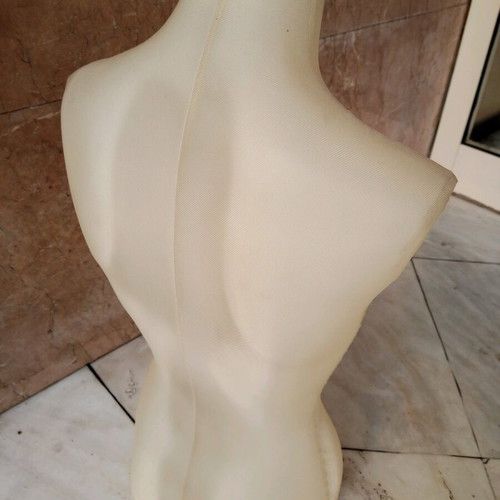 Female bust translucent to light