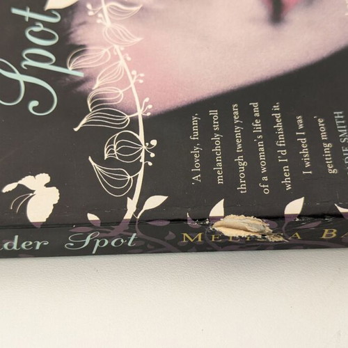 The Wonder Spot by Melissa Bank used English book