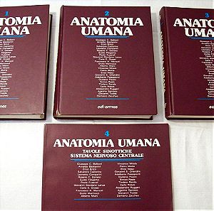 E.E Anatomia Umana, 3a Edizione, Hard Cover, edi-ermes