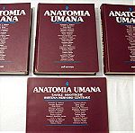  E.E Anatomia Umana, 3a Edizione, Hard Cover, edi-ermes