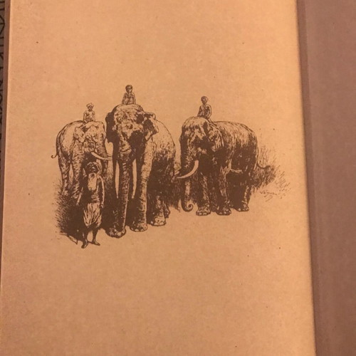 Mowgli The Jungle Book like new