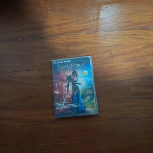 Spellforce used for PC, nice