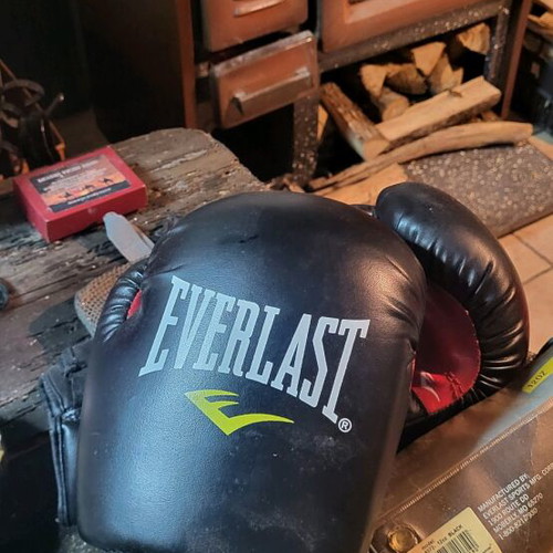 Everlast Pro Style boxing gloves like new, size 12 OZ