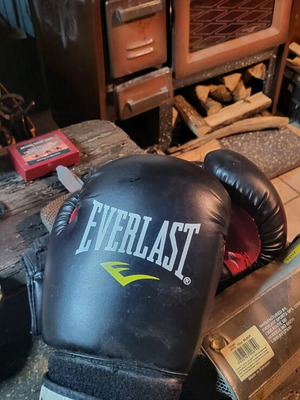 Everlast Pro Style boxing gloves like new, size 12 OZ