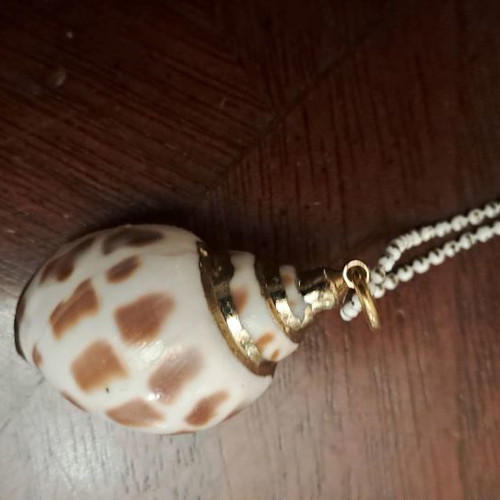 Long summer necklace new with shell