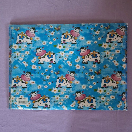 Plastic folders for photocopies used with kids' designs