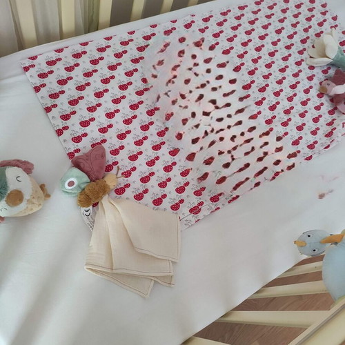 Pali Baby Cot used with mosquito net, bumper, and mattress