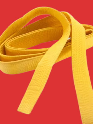 Tae Kwon Do belts like new, 2 yellow and half green