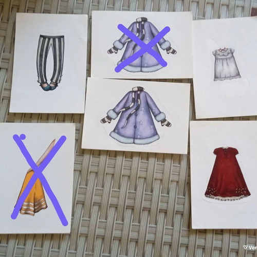 Santoro 2017 stickers like new with purple album and red album gift
