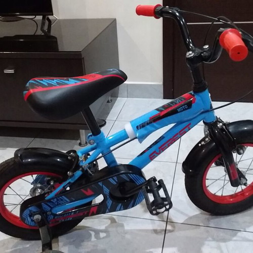 Everest 12 Kids Bicycle like new, V-Brakes, male