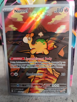 Numel Pokémon card rare illustration Ascenden heroes 223/217 new